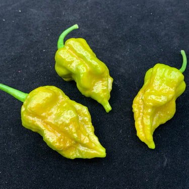 7 Pot Slimer - Seeds - The Pepper Pantry (Formerly Marie Sharp's)